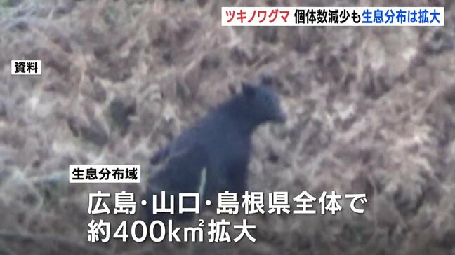 西中国山地のツキノワグマ 推定個体数は約3割減も生息分布は約400キロ平方メートル拡大|TBS NEWS DIG