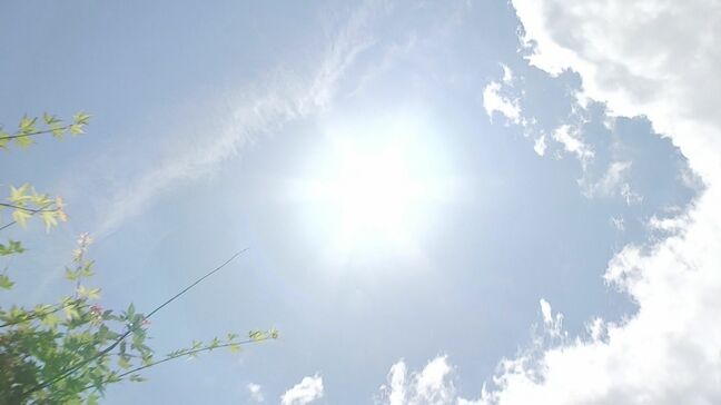 まるで梅雨明け　日田市で猛暑日に迫る34.3度　熱中症に注意　大分|TBS NEWS DIG