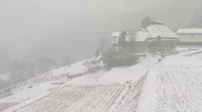 地震で集落が孤立したら…?「能登半島地震」でも土砂崩落で道路寸断、最大3300人が一時孤立状態…非常食の備蓄など災害を「自分事」として捉えた対策を|TBS NEWS DIG