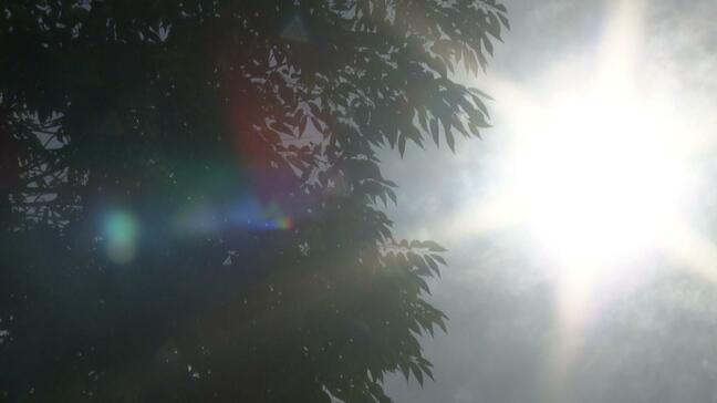 仙台で最高気温35.2度　今年10日目の猛暑日　過去最多記録を更新　残暑が続く見込みで熱中症に警戒|TBS NEWS DIG