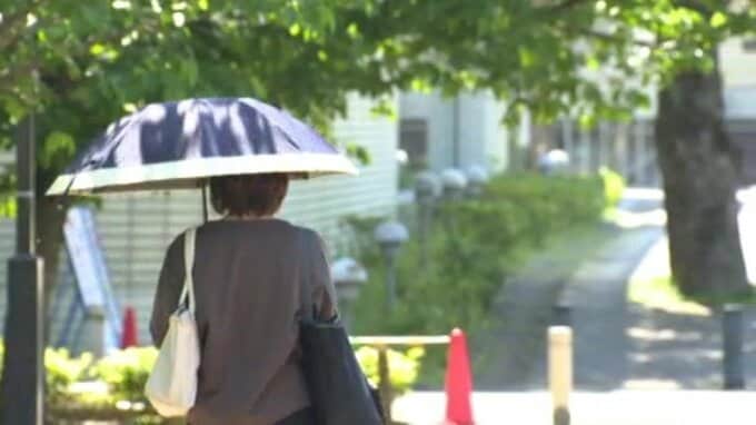 11日の愛媛県内は初夏の陽気 大洲で26.6度など夏日を観測|TBS NEWS DIG