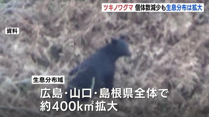 西中国山地のツキノワグマ　推定個体数は約３割減も生息分布は約400キロ平方メートル拡大　|　RCC NEWS | 広島ニュース | RCC中国放送