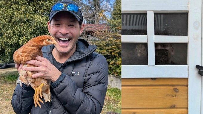 【照英】愛鶏たちが “小窓をつついてアピール” 愛らしい仕草に「だんだん懐いてきた」愛情だだもれ|TBS NEWS DIG