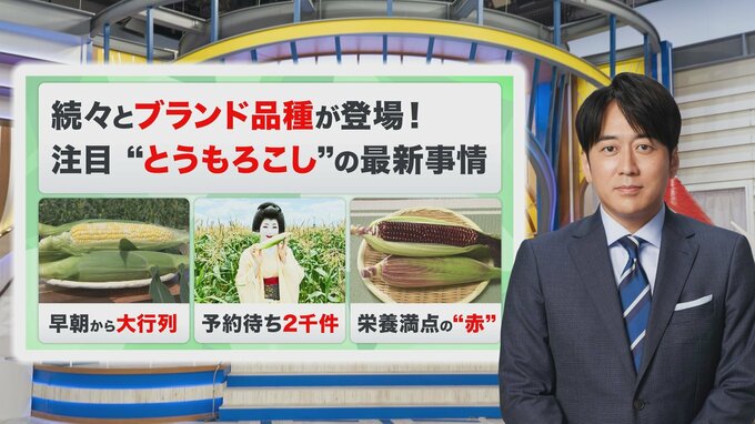 今年の夏は“とうもろこしブーム”到来！？「宝石のような赤色」から「予約待ち2千件」まで！とうもろこしが今アツい【THE TIME,】 |TBS NEWS DIG