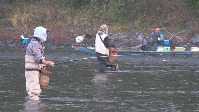 四万十川で“落ちアユ漁”解禁　早朝から大勢の釣り人「きょうのために早く寝たが、楽しみで寝られず⋯」今年はアユの数が豊富【高知】　|　高知のニュース・天気｜KUTV NEWS | KUTVテレビ高知