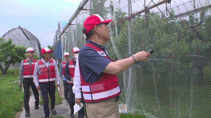 「ちょうど熟してきたところを狙われる」サクランボなど果実盗難防止へ　パトロール始まる　山梨・南アルプス市　|　山梨のニュース | ＵＴＹテレビ山梨