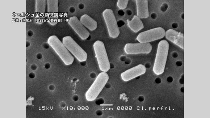 「日替わり弁当」で23人発症の食中毒、原因は100度の加熱にも耐える「ウエルシュ菌」 うるま市の弁当業者に5日間の営業停止処分|TBS NEWS DIG