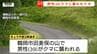 【動画】未明から山菜採りに...山中で39歳の男性がクマに襲われる　クマスプレー噴射→クマ逃走　左腕などにケガ（山形・鶴岡市）　|　山形のニュース│TUYテレビユー山形