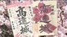 【お花見客の分散化】新アイデア！お城版の御朱印が登場！平日限定「御城印」も…「天下第一の桜」長野・高遠城址公園でタカトオコヒガンザクラ満開　|　SBC NEWS | 長野のニュース | SBC信越放送