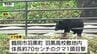 付近に潜んでいる可能性も...鶴岡市の高校敷地内でクマ目撃　月別のクマの目撃件数は？（山形）　|　山形のニュース│TUYテレビユー山形