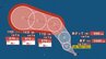 【台風情報】最大瞬間風速50m/s予想...台風のたまご「熱帯低気圧a」発生...24時間以内に台風へ発達、19日には日本の南に接近見込み...シルバーウィーク各地の天気は？24日（木）までの雨風シミュレーション【気象庁14日13時20分発表】　|　岡山・香川のニュース | 天気 | RSK山陽放送