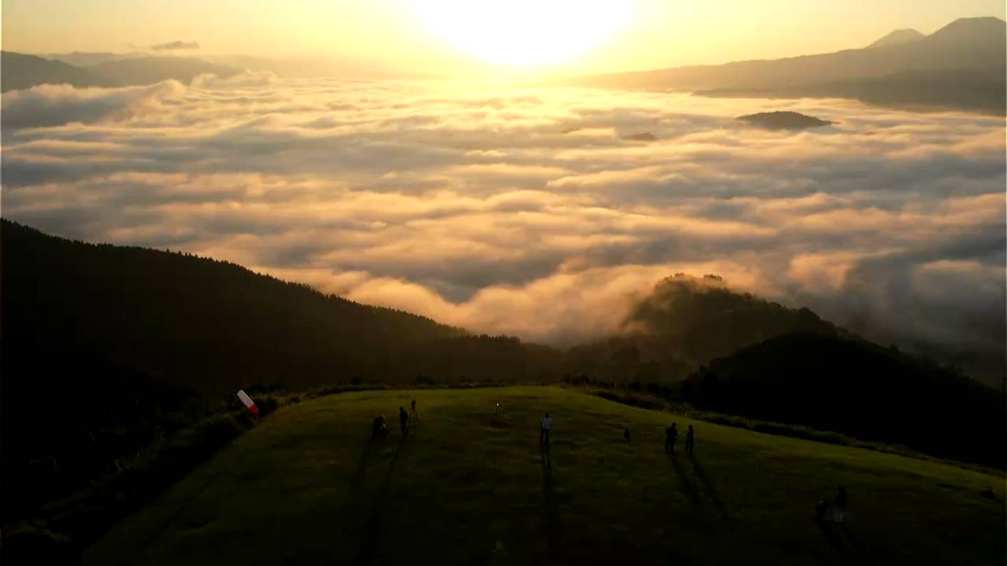 img_d6179cf7a59e79622cf2b25c62