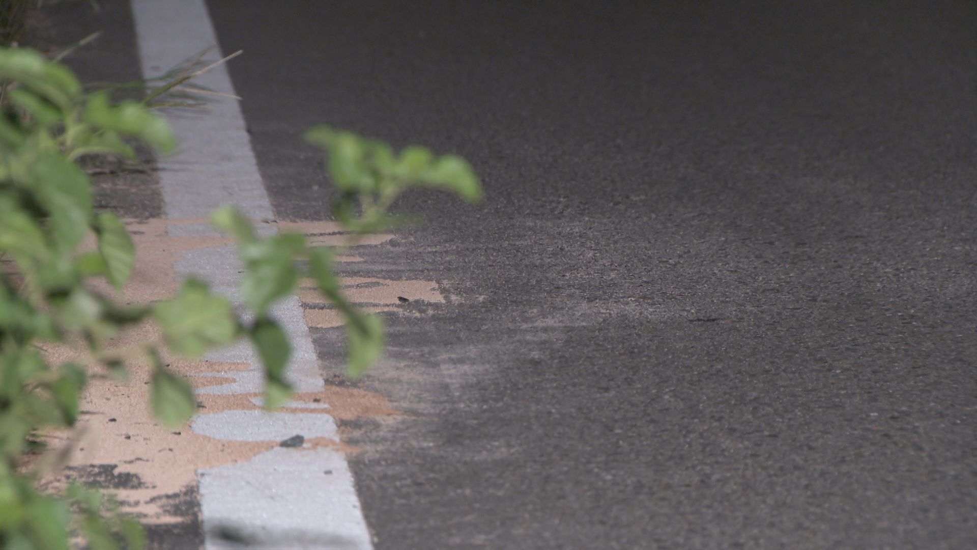 愛知・一宮市で乗用車と大型トラックが正面衝突　助手席の72歳女性が死亡