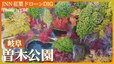 岐阜・曽木公園　湖面に映る紅葉【JNN 紅葉ドローンDIG 2023】|TBS NEWS DIG