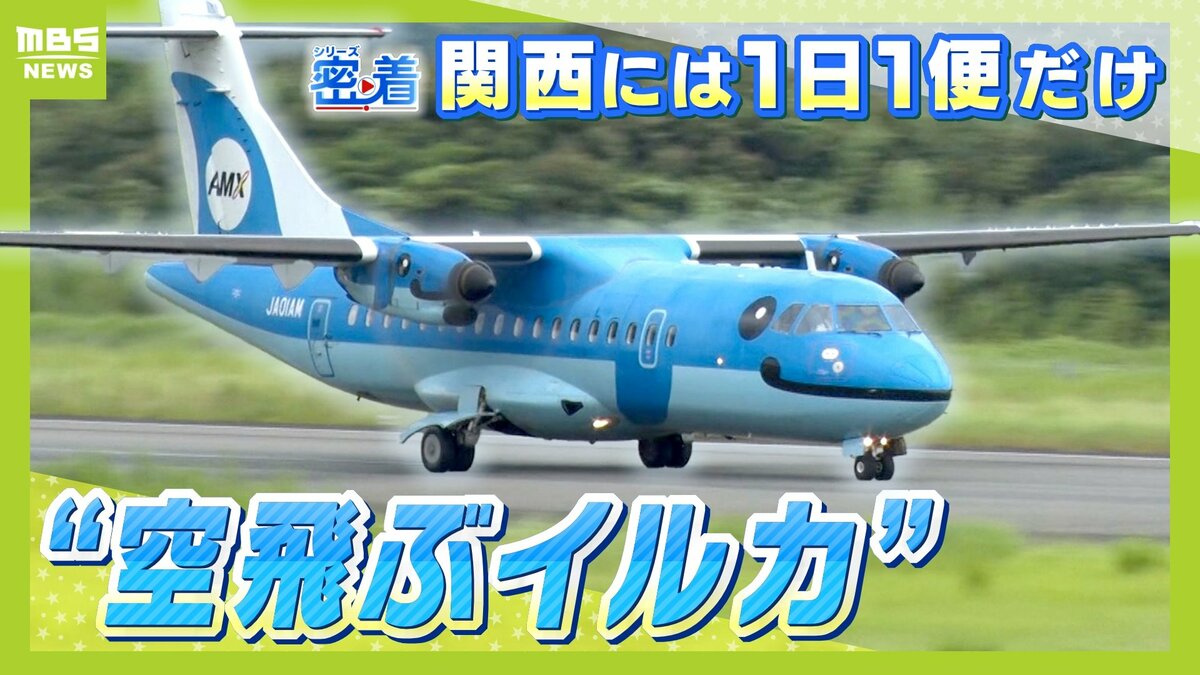 空飛ぶイルカ”天草から関西に1日1便やってくるレア飛行機『みぞか号