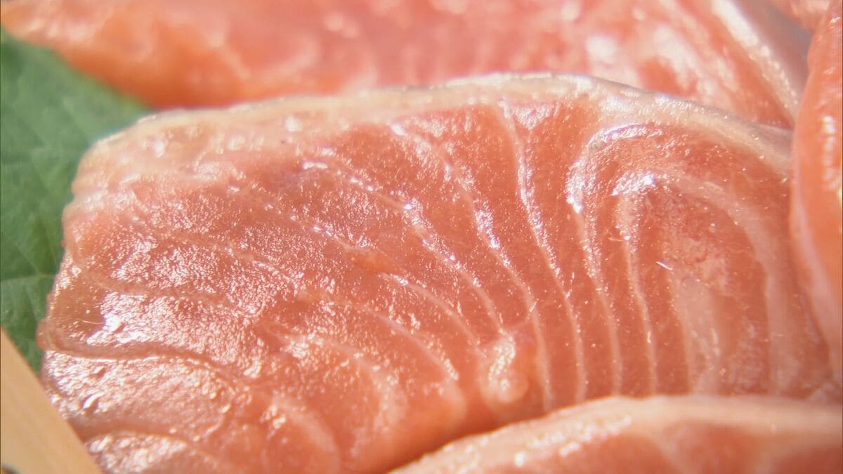 環境に優しい陸上養殖の｢サーモン｣ ガス製造過程で捨てられる“冷たい海水”を有効活用 去年の2.5倍の水揚げ目指して…愛知･知多市