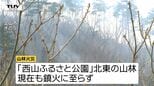 付近で野焼きとの情報も...上山市の山林火災は9ヘクタールに延焼範囲拡大 未だ鎮火に至らず(山形) |TBS NEWS DIG
