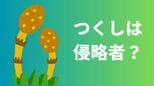 「つくし」という独立した植物は存在しない 「地獄草」の異名をもつ「スギナ」の胞子茎で旺盛に繁殖する「侵略者」?|TBS NEWS DIG