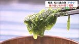 ごはんにパンに、パスタに…話題の万能調味料も登場!磯の香り楽しむアオサ【市場で旬みっけ!】 | 福島のニュース│TUF