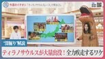 「小川キャスターまで…?!」ティラノサウルスが大量出没!全力疾走する意外な理由【久保田智子編集長の“深掘り”解説】|TBS NEWS DIG