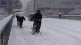 急速に発達した低気圧の影響で岩手県内でまとまった積雪 午前10時現在で宮古で16センチ 盛岡で10センチ | IBC NEWS | IBC岩手放送