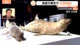 真夏の東京に南極！？日本科学未来館「大南極展」…“南極飯”一番人気のメニューは？【Nスタ】|TBS NEWS DIG