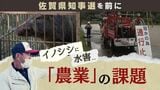 【佐賀県知事選】足元揺らぐ農業県の課題とは？　知事選で立候補予定者は　|　福岡のニュース｜RKB NEWS｜RKB毎日放送