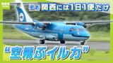 “空飛ぶイルカ”天草から関西に１日１便やってくるレア飛行機『みぞか号』　機内で“みぞか日記”をつける少年などファンも多数「みんなの支えがあって元気に泳いでる」|TBS NEWS DIG