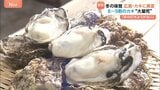 旬の味覚 広島のカキに異変 旬のはずが冷凍を使用 8~9割のカキが大量死|TBS NEWS DIG