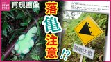 空からカメが降ってきた？落石ならぬ「落“亀”注意」の看板が植物公園に登場　SNSで話題に　手掛けたのは若手職員|TBS NEWS DIG