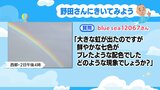 七色がブレたような虹と平べったい虹 少し珍しい虹はなぜできた? | MRTニュース | MRT宮崎放送