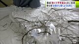 猿賀神社で「七日堂大祭」 豊凶「良くて平年並み」のご託宣 奉仕者「お告げに背くような年に…」 青森県平川市 | 青森のニュース│ATV NEWS│青森テレビ