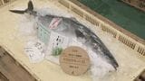 セリでは「日本一のブリや！」の雄たけびも 天然能登寒ぶり「煌（きらめき）」第1号に200万円の初値|TBS NEWS DIG