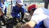 潮干狩りを楽しんだ後はごみ拾い 岩手・宮古市 小学生が地元の海の環境を学ぶ|TBS NEWS DIG