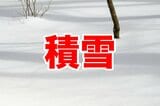 【ライブカメラ】静岡で今週2度目の積雪…“富士山の麓”御殿場市のいまの雪の様子 | 静岡のニュース | SBSNEWS | 静岡放送