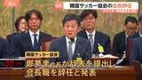 W杯敗退で揺れる韓国…政府がサッカー界改革へ「Kサッカー革新委員会」を発足　共同委員長にパク・チソン氏　サッカー協会トップは辞任|TBS NEWS DIG