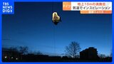 空中に浮かぶグランドピアノ ドイツの一風変わった演奏会|TBS NEWS DIG