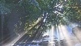 「逆光」テーマの力作111点が集結 写真愛好家17人の作品展 大分 | 大分のニュース|OBS NEWS|大分放送