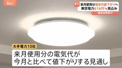 来月使用分の電気代は全社値下がりへ　東電は616円↓　政府の補助金再開で| TBS CROSS DIG with Bloomberg
