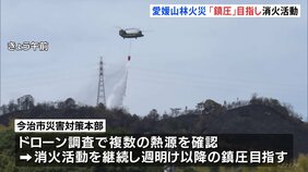 愛媛・今治市の山林火災　延焼は阻止された状態　鎮圧を目指し消火活動続く　避難指示は大幅に縮小|TBS NEWS DIG