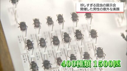 主催者は自衛隊員 転勤で標本集めに拍車 400種類1500匹の虫の標本を