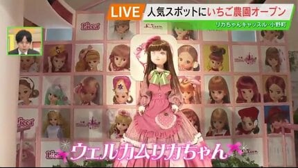 大人も子供も変身！リカちゃんキャッスルで叶うお姫様気分 新しく