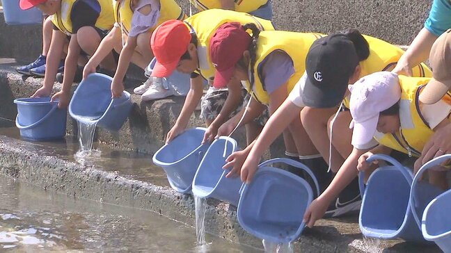 小学生がマダイの稚魚放流、ブリ養殖場でえさやりに挑戦　大分|TBS NEWS DIG