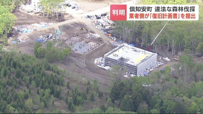 羊蹄山麓の違法森林伐採　「悪質性がある」知事が苦言　2年前から中国系人物と札幌の建設会社が無許可伐採　事業者側は「復旧工事計画書」を提出|TBS NEWS DIG