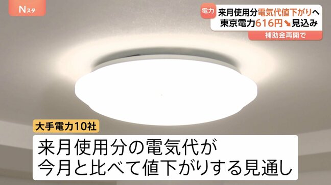 来月使用分の電気代は全社値下がりへ 東電は616円↓ 政府の補助金再開で|TBS NEWS DIG