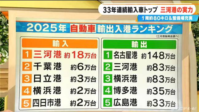 テスラ本格輸入開始 改めて愛知・三河港の実力がスゴイ…33年連続輸入車数トップの理由は?1周約80キロの巨大な敷地|TBS NEWS DIG