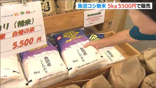 「東京で買うと2000円違う」5kgで5500円『魚沼産コシヒカリ』新米の“試食販売” 新潟・魚沼市|TBS NEWS DIG