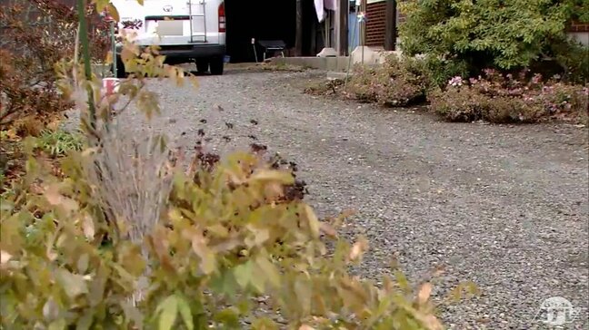 何らかの理由で動き出した無人の車に接触か 78歳の女性が死亡 車のエンジンはかかったまま 青森県三戸町|TBS NEWS DIG