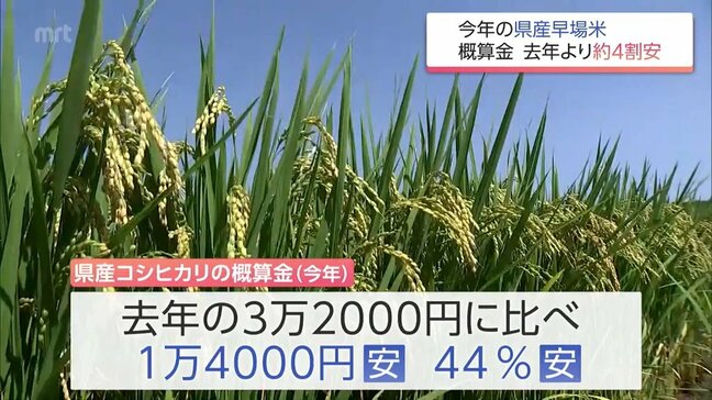 宮崎県産の早場米の集荷価格が前年比4割安に 物価高騰の中 農家からは怒りや落胆の声|TBS NEWS DIG