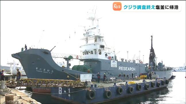 クジラの生息状況を重点調査 調査船が80日間の航海を終え帰港 宮城|TBS NEWS DIG